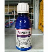 Pegasus Bahan Aktif Apa